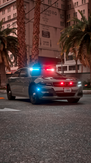 UM LSPD Charger