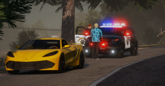 Traffic Stop