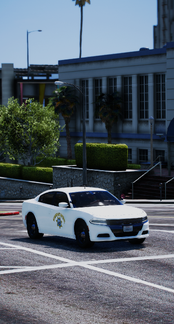 Highway Patrol on Duty