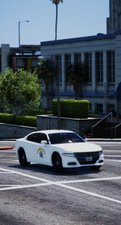 Highway Patrol on Duty