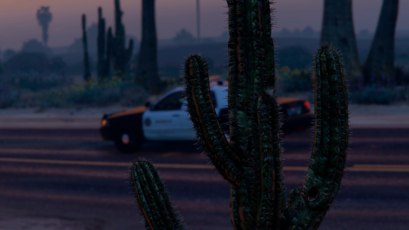 🌵 and 🚓