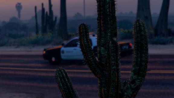 🌵 and 🚓