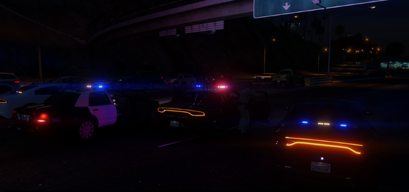 Felony Traffic Stop