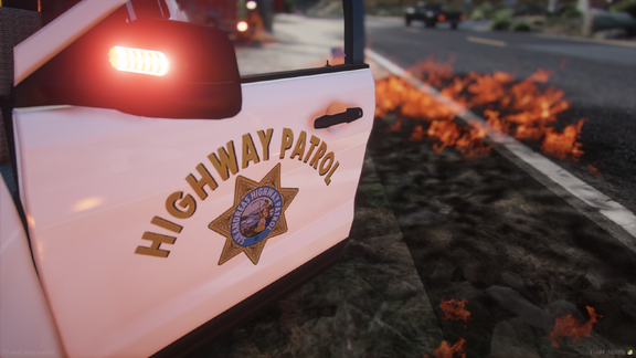 Arson of a patrol car [2]