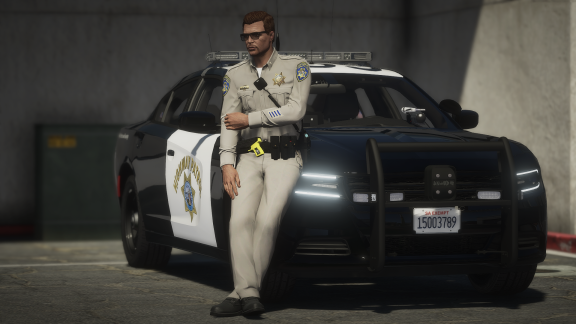 Doing Some Law Enforcement