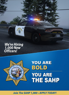 You Are BOLD. You Are The SAHP.