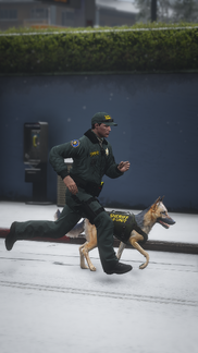 K9 FOOT PURSUIT