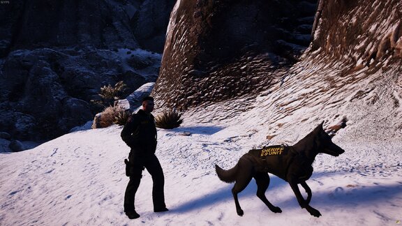 K-9 in the mountains