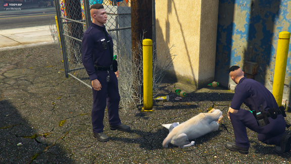 LSPD officers feed a stray dog