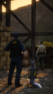 K9 Detain