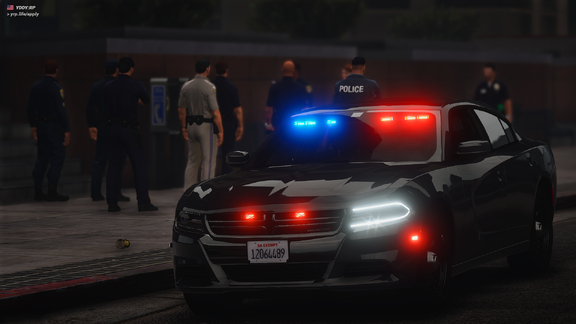 Alta Street Policing