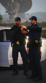 Traffic Officers [2]