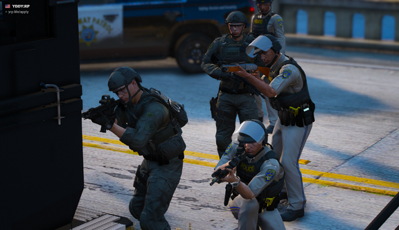 Arrest team