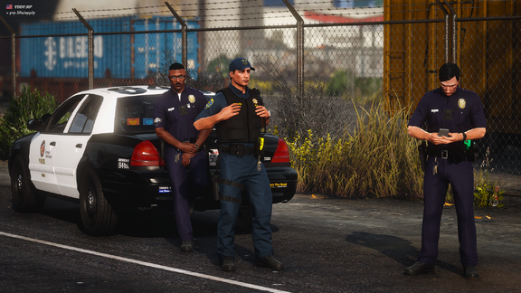 Traffic Collision Investigation - LS Port [1]