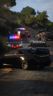 El Burro Boulevard - Traffic Collision Investigation [3]