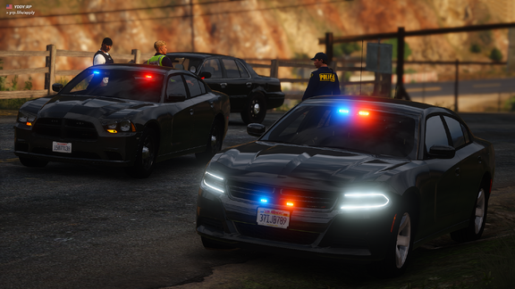 El Burro Boulevard - Traffic Collision Investigation [4]