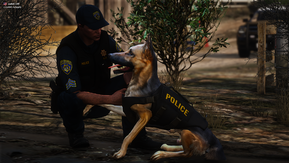 K9 Dino