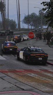 Traffic Collision Investigation [1]