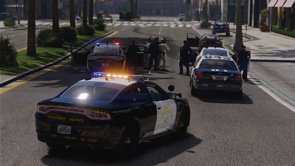 Multi-Agency Felony Stop [3]