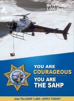 You Are COURAGEOUS. You Are The SAHP.